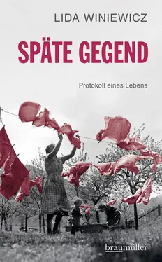 Lida Winiewicz Späte Gegend обложка книги