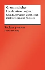 Andrew Williams - Grammatisches Lernlexikon Englisch. Grundlagenwissen alphabetisch mit Beispielen und Kurztests