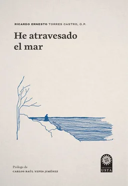 Ricardo Ernesto Torres Castro OP He atravesado el mar обложка книги