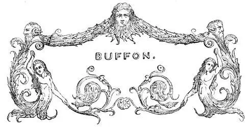 BUFFON Table of Contents Buffon is reported to have saidand the vanity which - фото 77