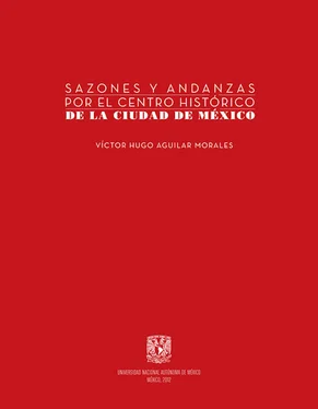Víctor Hugo Aguilar Morales Sazones y andanzas por el Centro Histórico de la Ciudad de México обложка книги