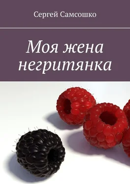 Сергей Самсошко Моя жена негритянка обложка книги