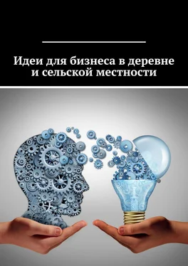 Татьяна Дросс Идеи для бизнеса в деревне и сельской местности обложка книги