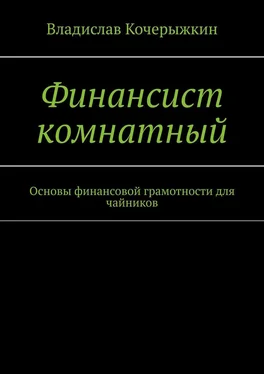 Владислав Кочерыжкин Финансист комнатный. Основы финансовой грамотности для чайников обложка книги