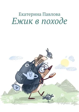 Екатерина Павлова Ежик в походе обложка книги
