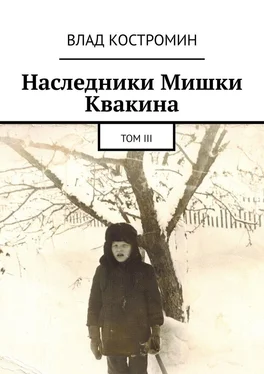 Влад Костромин Наследники Мишки Квакина. Том III обложка книги