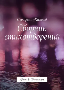 Серафим Камнев Сборник стихотворений. Том 1: Делириум обложка книги