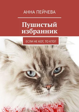 Анна Пейчева Пушистый избранник. Если не кот, то кто? обложка книги