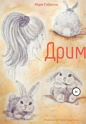 Мари-Габриэль - Дрим