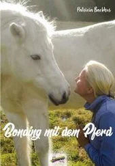 Patricia Backhus - Bonding mit dem Pferd