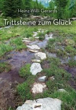 Heinz-Willi Gerards Trittsteine zum Glück обложка книги