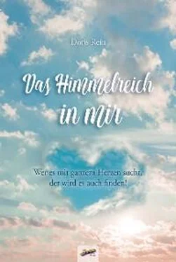 Doris Rein Das Himmelreich in mir обложка книги