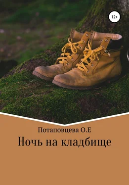 Ольга Потаповцева Ночь на кладбище обложка книги