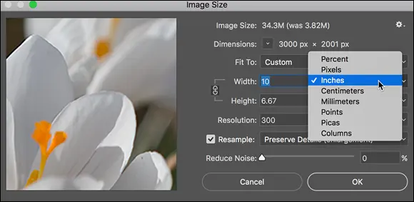 FIGURE 211Enter a value and Photoshop recalculates the fields automatically - фото 31