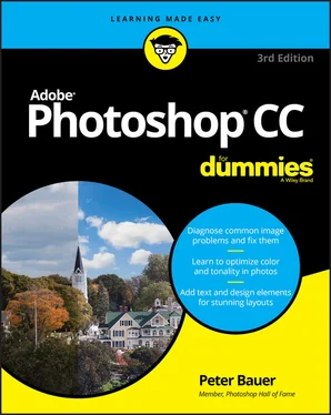 Peter Bauer Adobe Photoshop CC For Dummies обложка книги