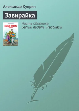 Александр Куприн Завирайка обложка книги