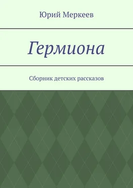 Юрий Меркеев Гермиона. Сборник детских рассказов обложка книги