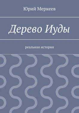 Юрий Меркеев Дерево Иуды. Реальная история обложка книги