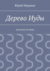 Юрий Меркеев - Дерево Иуды. Реальная история