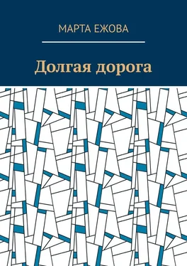 Марта Ежова Долгая дорога обложка книги