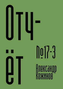 Александр Кожинов Отчёт №17—3 обложка книги