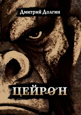 Дмитрий Долгин Цейрон обложка книги