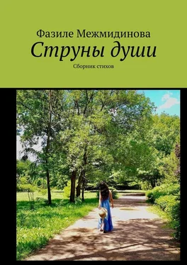 Фазиле Межмидинова Струны души. Сборник стихов обложка книги