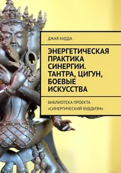 Джая Будда - Энергетическая практика синергии. Тантра, цигун, боевые искусства. Библиотека проекта «Синергический буддизм»