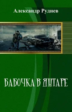 Александр Руднев Бабочка в янтаре (СИ) обложка книги