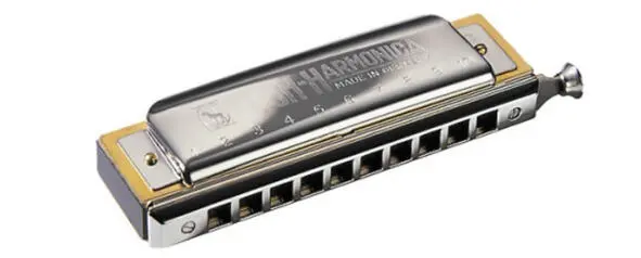 Рис 191 Гибридная ГГ Chromatic KochHarmonica К минусам то что настройка у - фото 16