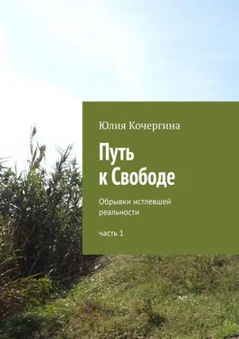 Юлия Кочергина Путь к Свободе. Обрывки истлевшей реальности. Часть 1 обложка книги