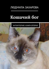 Людмила Захарова - Кошачий бог. Антиутопия. Книга вторая