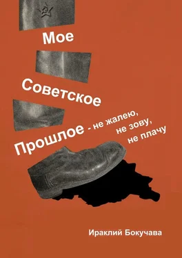 Ираклий Бокучава Моё советское прошлое. Не жалею, не зову, не плачу обложка книги