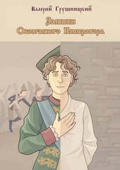 Валерий Грушницкий - Записки оболганного императора
