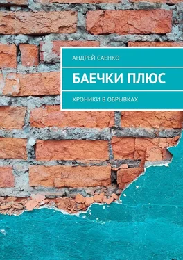 Андрей Саенко БАЕЧКИ плюс. Хроники в обрывках обложка книги