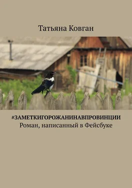 Татьяна Ковган #ЗаметкиГорожанинаВпровинции. Роман, написанный в Фейсбуке обложка книги