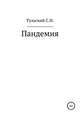 Сергей Тульский Пандемия обложка книги