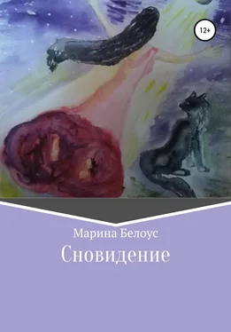 Марина Белоус Сновидение обложка книги