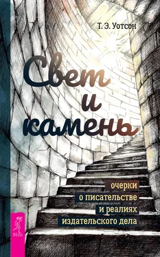 Т. Уотсон Свет и камень. Очерки о писательстве и реалиях издательского дела обложка книги