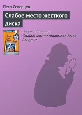 Петр Северцев Слабое место жесткого диска обложка книги