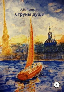 Александр Пушкин Струны души обложка книги