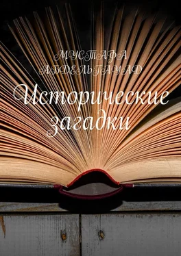 МУСТАФА АБДЕЛЬГАУАД Исторические загадки обложка книги