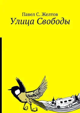 Павел Желтов Улица Свободы обложка книги