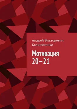 Андрей Калиниченко Мотивация 20—21 обложка книги