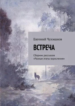 Евгений Чухманов Встреча. Сборник рассказов «Разные этапы взросления» обложка книги