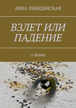 Лина Либединская Взлет или падение. О любви обложка книги