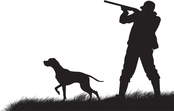 Почему лоси меняют рога каждый год Зачем они им У лосей рога носят только - фото 40