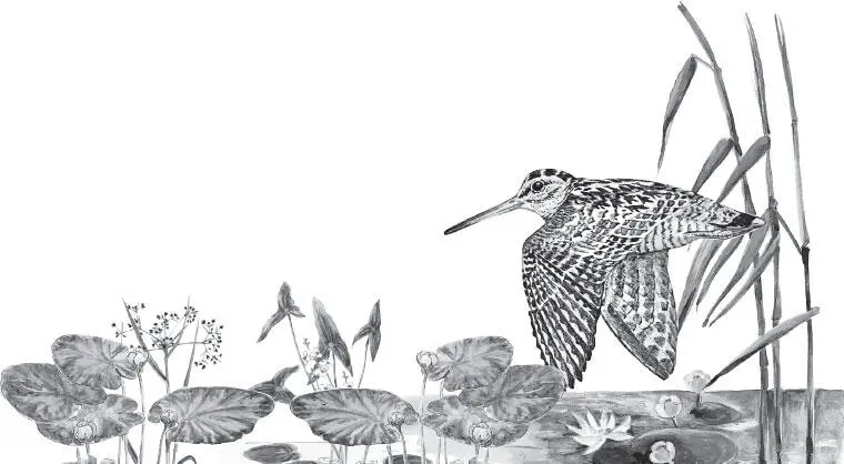 Как готовят к зимовке клубнику Зачем Клубника вкусна но зелёные грядки - фото 96