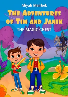 Aliyah Meirbek The Adventures of Tim and Janik. The magic chest обложка книги