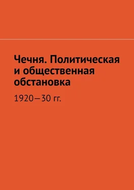 Муслим Мурдалов Чечня. Политическая и общественная обстановка. 1920—30 гг. обложка книги